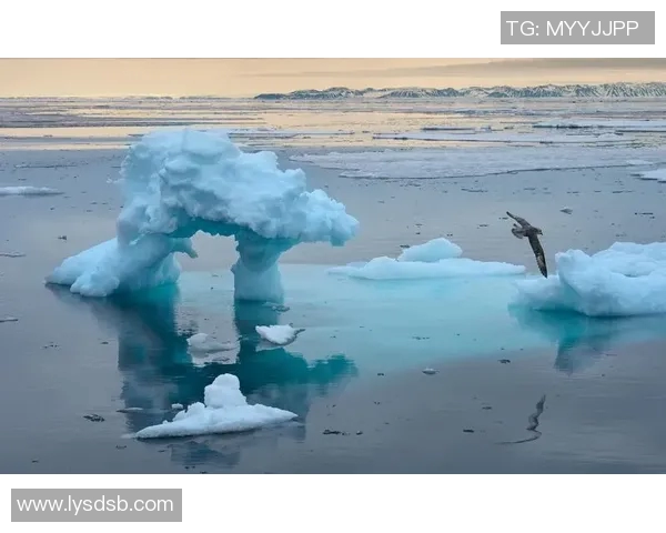 全球气候变化加剧极端天气频发 各国加强应对措施促可持续发展