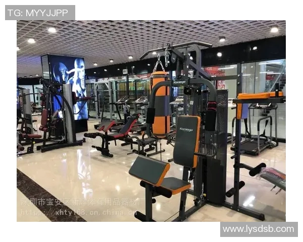 运动健身器材批发:运动健身器材批发市场的趋势与商机
