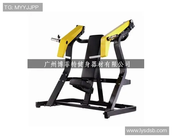 黑黄风暴来袭大黄蜂功能性健身器材开箱测评